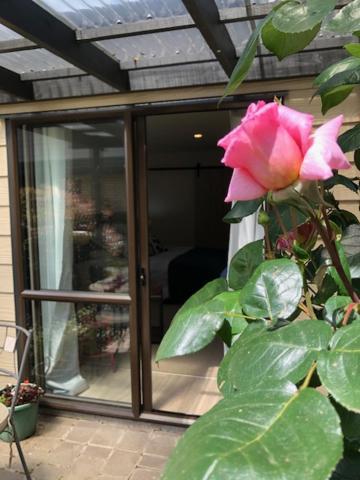 Cedar Park Bed & Breakfast Tamahere Екстер'єр фото